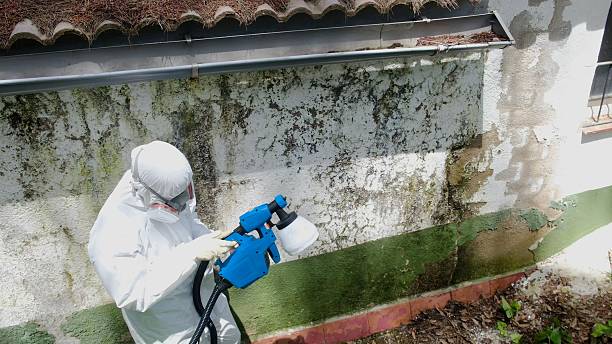 Top rated local Commercial Mold Remediation specialists in Gardners, PA